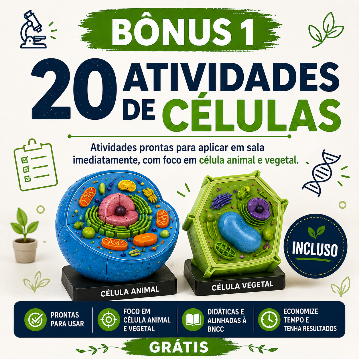 20 Atividades de Células